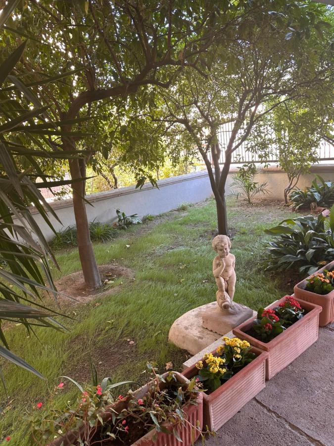 Ajoaolbia B&B Экстерьер фото